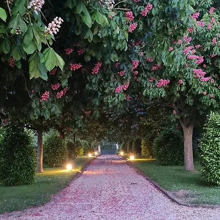 La Casa Chesnuts - Manoir Des Marronniers Vii Sully (Calvados)